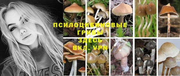 a pvp Абаза