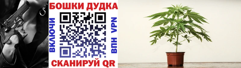купить сайты Касимов Марихуана Amnesia